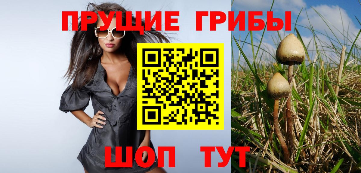 Жуковский  Псилоцибиновые грибы мухоморы  Вход с VPN 
