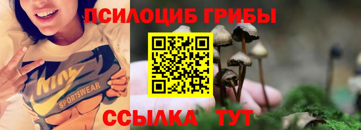Галлюциногенные грибы ЛСД Жуковский