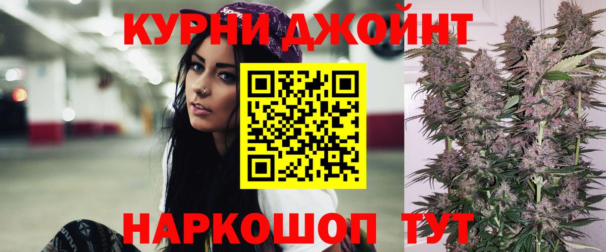 Бошки Шишки план Жуковский